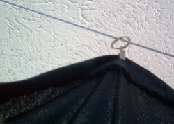 Curtain Ring